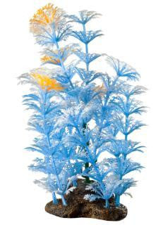 Elive Glow Elements Topaz Blue Cabomba - Medium - 5-6 in.