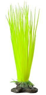 Elive Glow Elements Neon Green Hairgrass - Medium - 7 in.