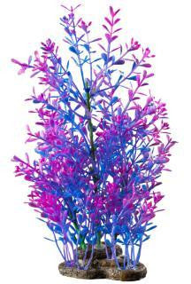 Elive Glow Elements Lindernia Technicolor - Large - 9-10 in.