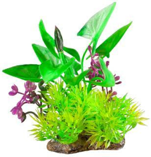 Elive Natural Elements Arum Marsilea Combo - Small - 4 in.