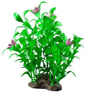 Elive Natural Elements Blooming Ludwigia - Medium - 5-6 in.