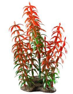 Elive Natural Elements Red Rotala - Medium - 5-6 in.