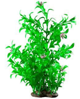 Elive Natural Elements Blooming Ludwigia - Large - 9-10 in.