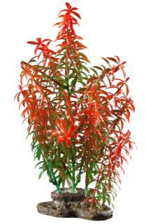 Elive Natural Elements Red Rotala - Large - 9-10 in.