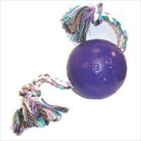 Jolly Pets Romp-N-Roll Purple 6