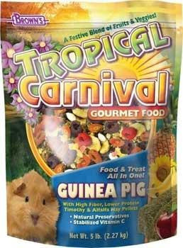 F.M. Brown&#039;s Tropical Carnival Guinea Pig 6-3 lb.