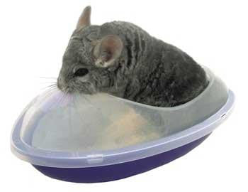 Lixit Chinchilla Bath