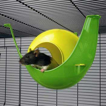 Lixit Critter Space Pod Large Hamster-Guinea Pig