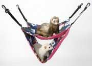 Marshall Pet Ferret Deluxe Hammock Assorted