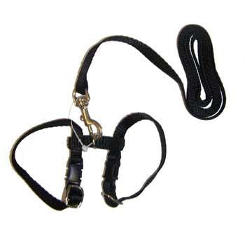 Marshall Pet Harness-Lead Set - Black