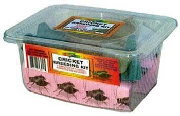 Nature Zone Cricket Breeding Kit