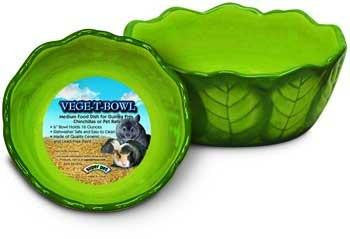 Super Pet Vege-T-Bowl,Cabbage