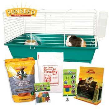 Ware Home Sweet Home Huinea Pig Kit Sun 28 X 17 X 15.5